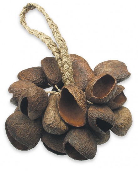Seed Shell Shaker on Handle