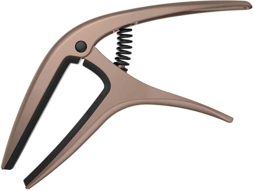 EB-9608 Axis Capo